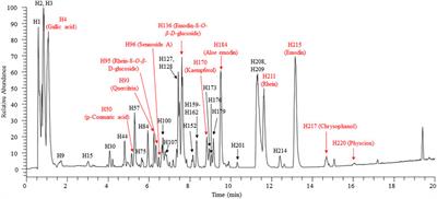 Exploration of Q-Marker of Rhubarb Based on Intelligent Data Processing Techniques and the AUC Pooled Method